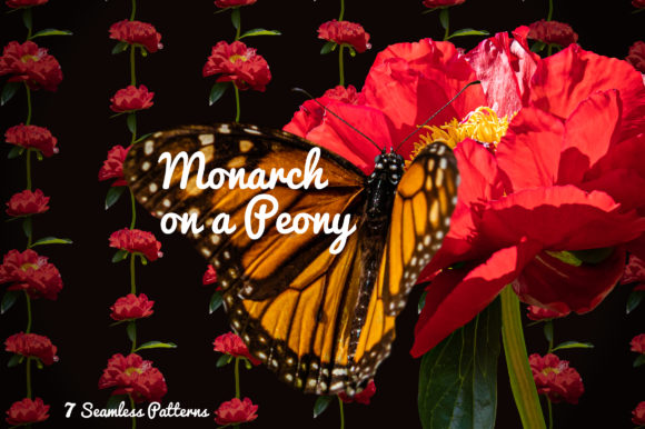 Monarch on a Peony: A Floral Design Project for Creative Minds